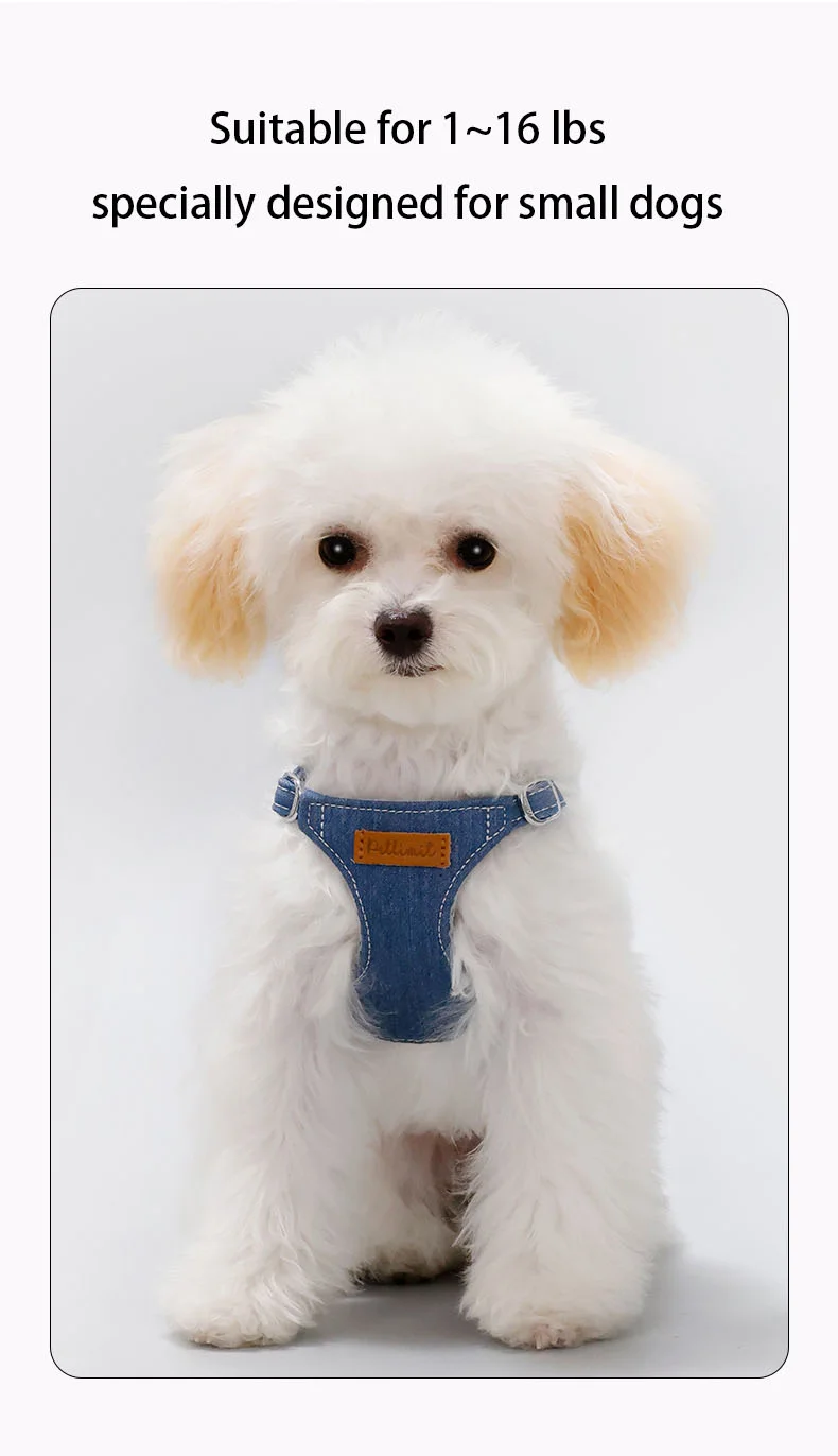 Denim Small-Dog Harness-0