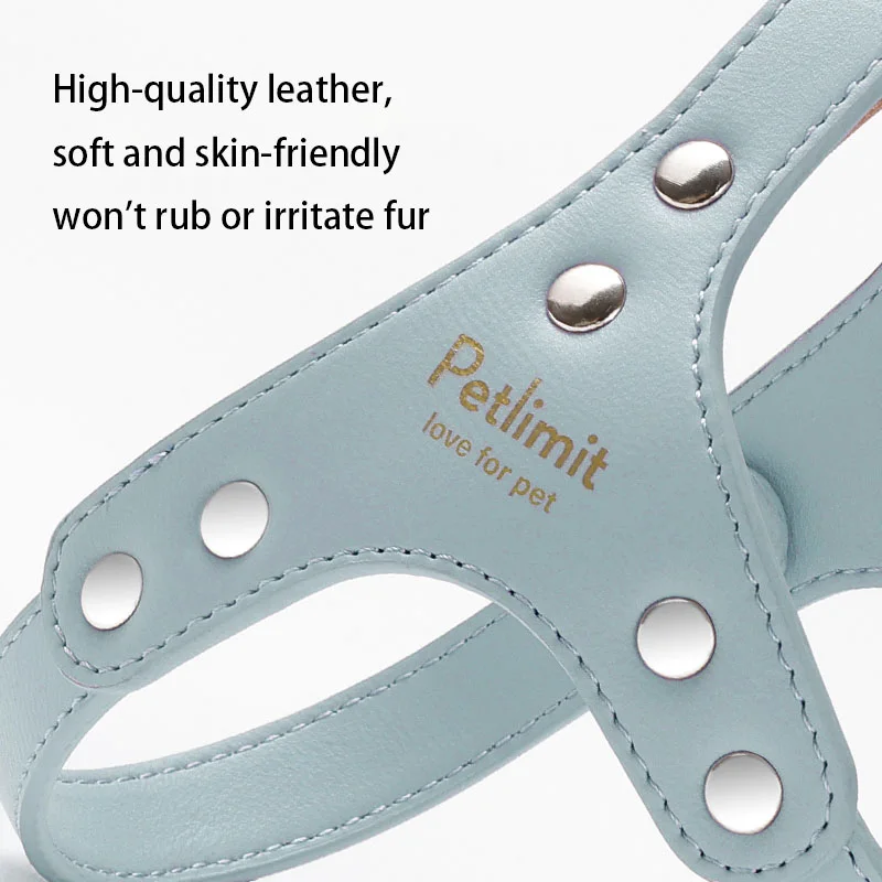PU Leather Small-Dog Harness-2