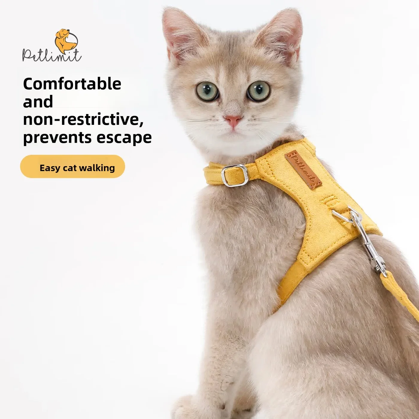 Velvet H-Style Cat Harness Set-1